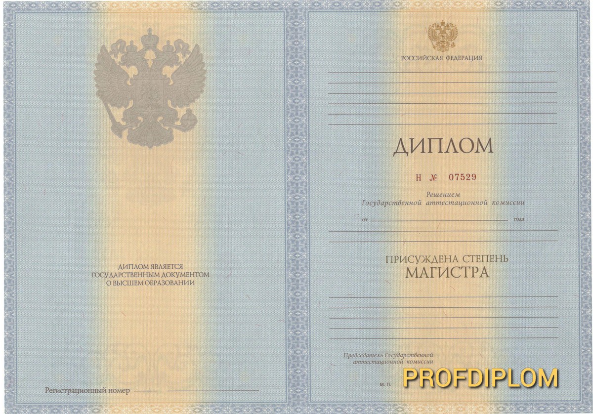 Диплом магистра 2011-2013 купить